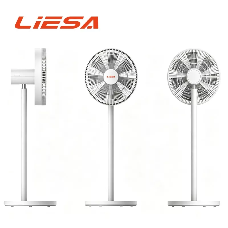 DC Motor Sirkulyasiya Fan
